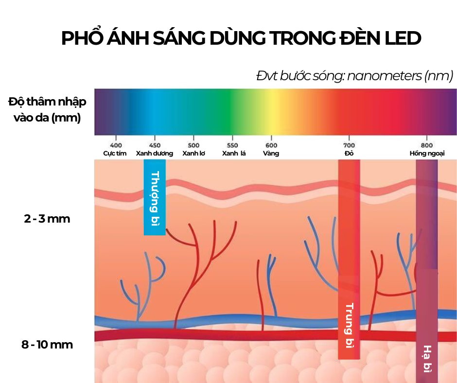 LED LIGHT THERAPY – Liệu pháp Ánh sáng sinh học